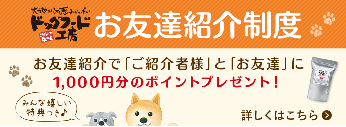 ドッグフード工房をお友達に紹介しよう！お友達紹介で「ご紹介様」と「お友達」に1,000円分のポイントプレゼント