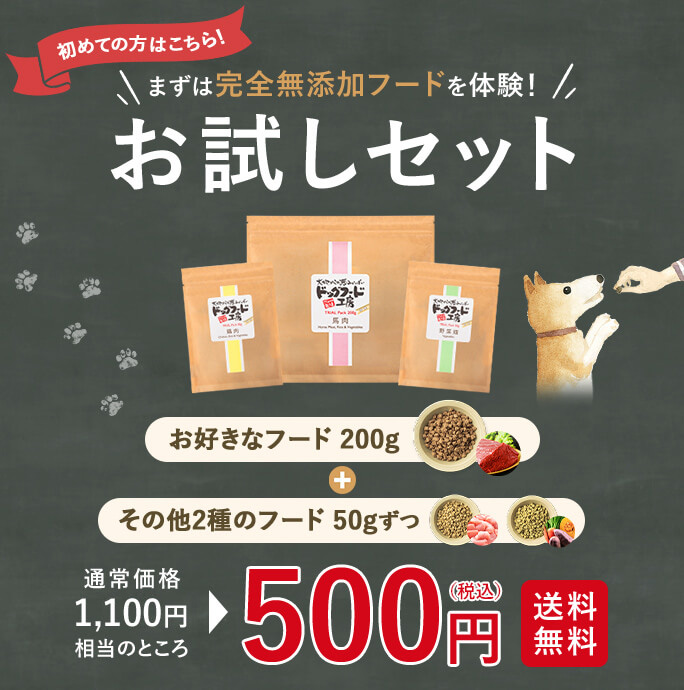 おためしセット