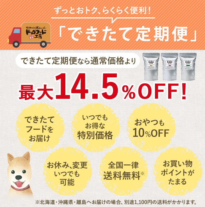 できたて定期便