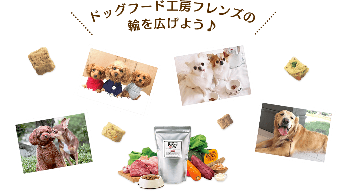 ドッグフード工房フレンズの輪を広げよう♪