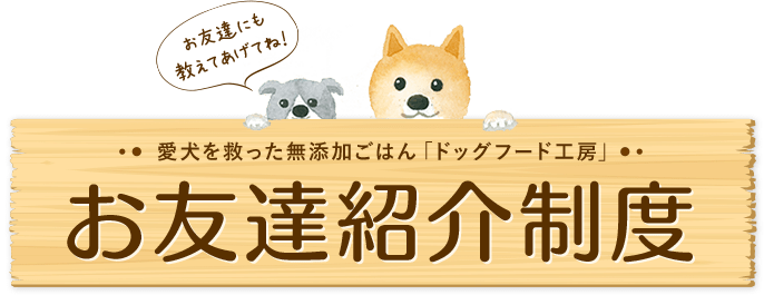 愛犬を救ったむてっかごはん「ドッグフード工房」お友達紹介制度