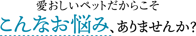 愛犬を救った無添加ごはんを、あなたのワンちゃんへ。