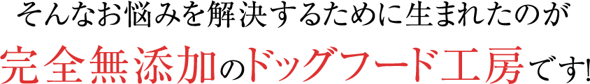愛犬を救った無添加ごはんを、あなたのワンちゃんへ。