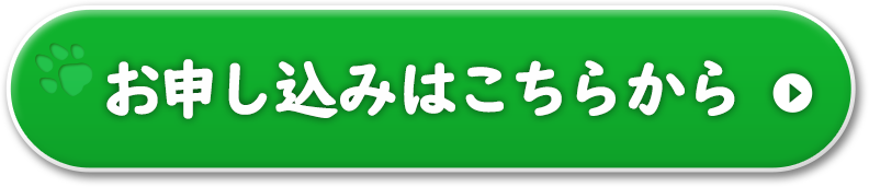 お試しフードお申し込みはこちらから