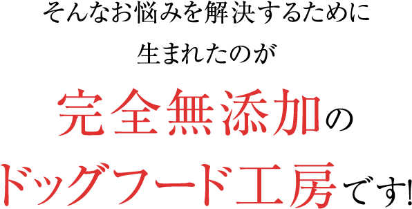 愛犬を救った無添加ごはんを、あなたのワンちゃんへ。